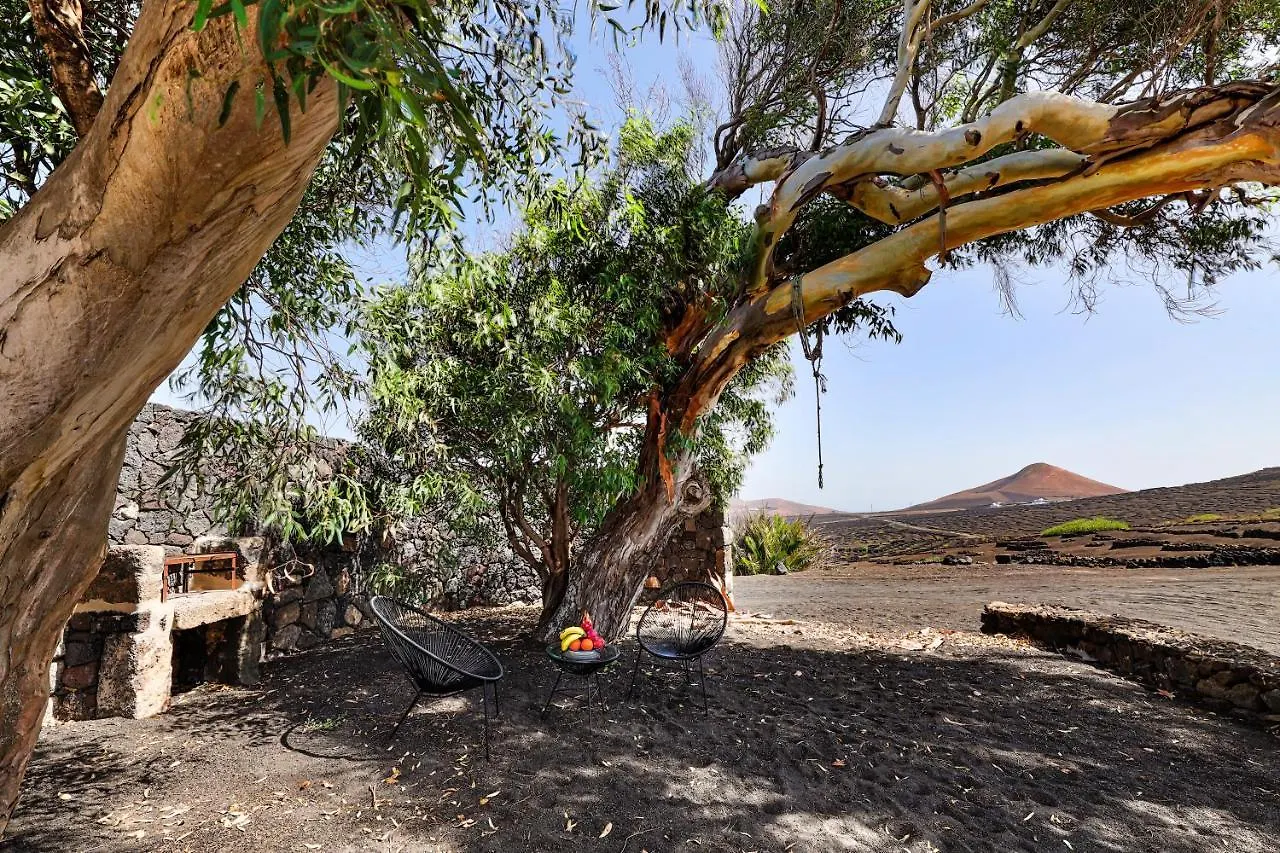 Holiday home Petit La Geria Lanzarote Villa Tias